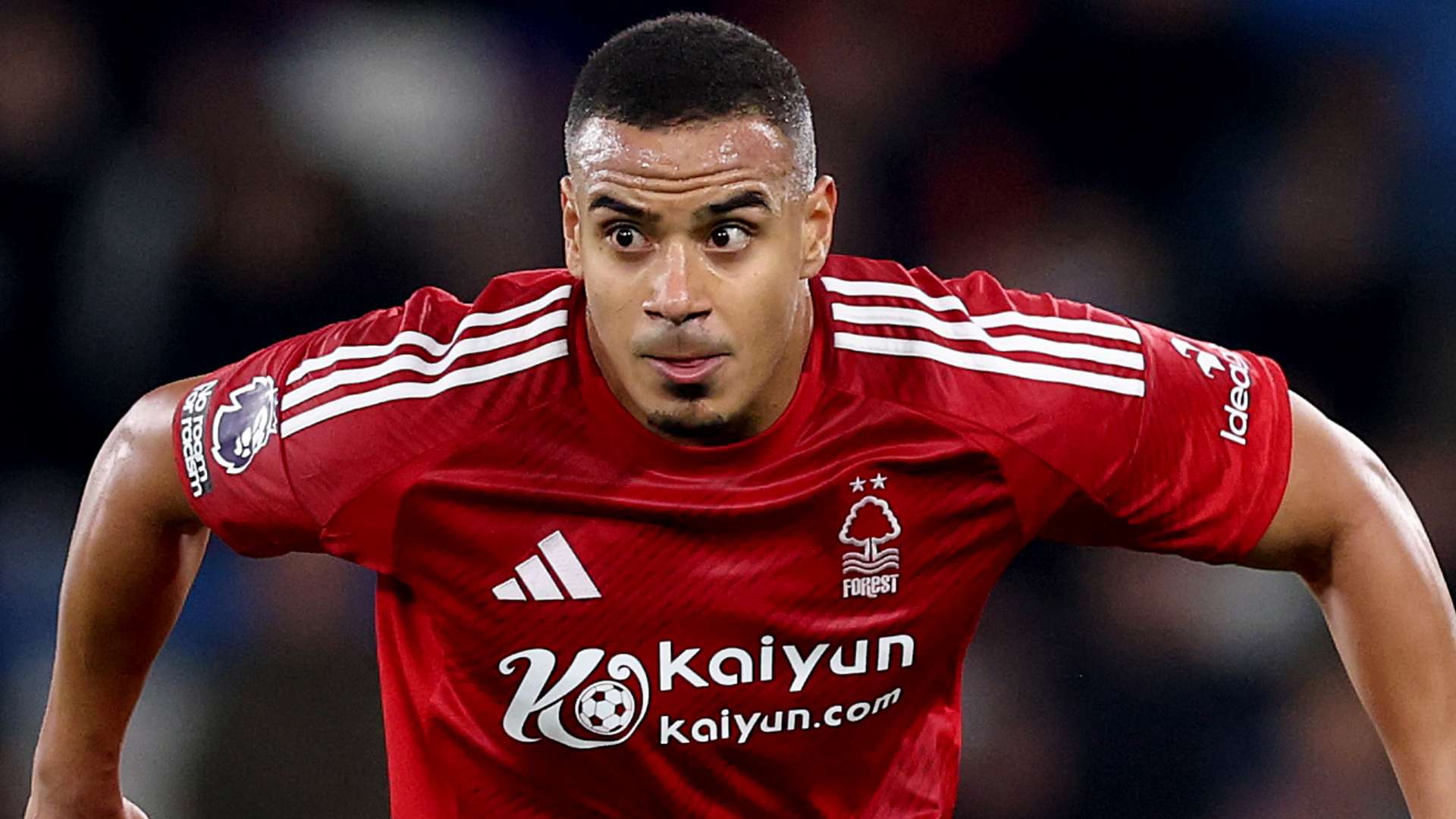 盖十字韧带 盖十字韧带