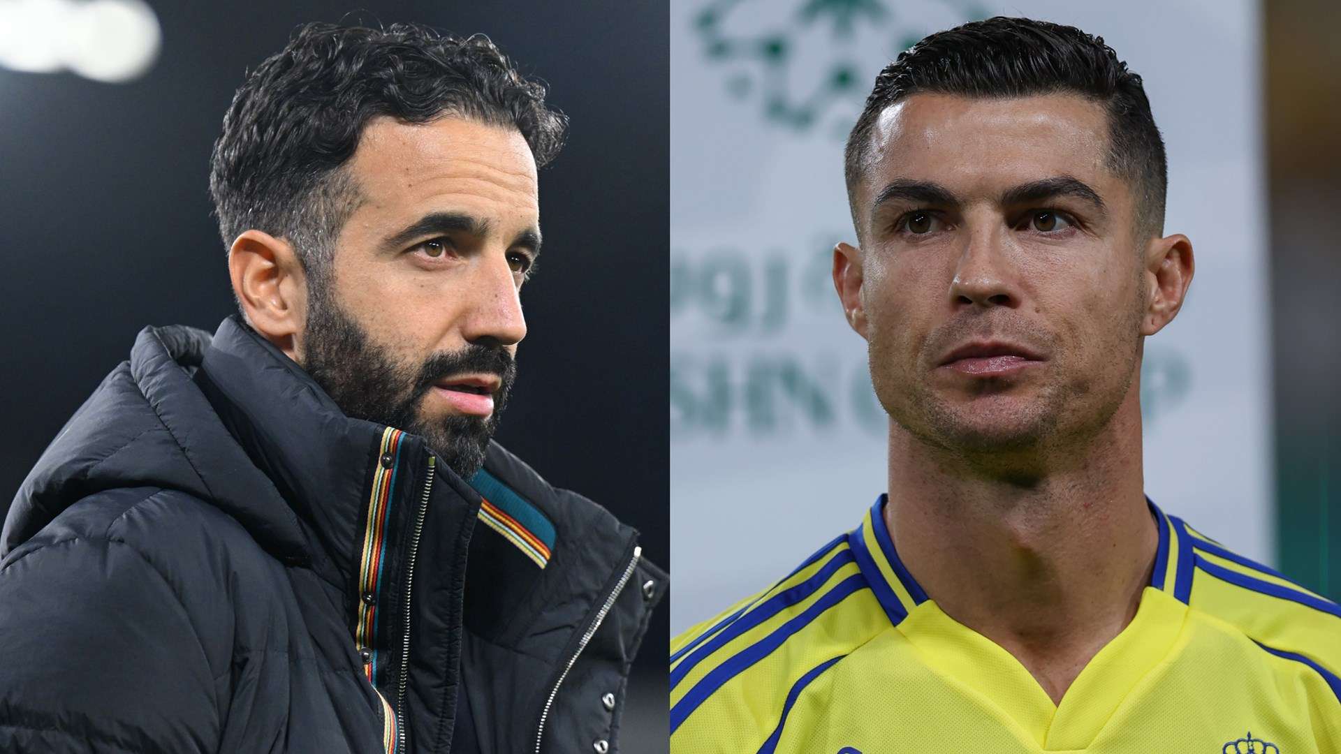 同样重要的 同样重要的